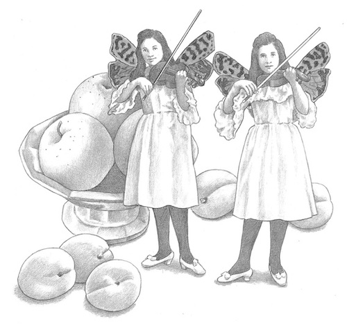 Fiddling Fruit fairies