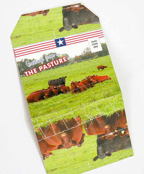 Greetings from the Pasture postcard by Nava Atlas