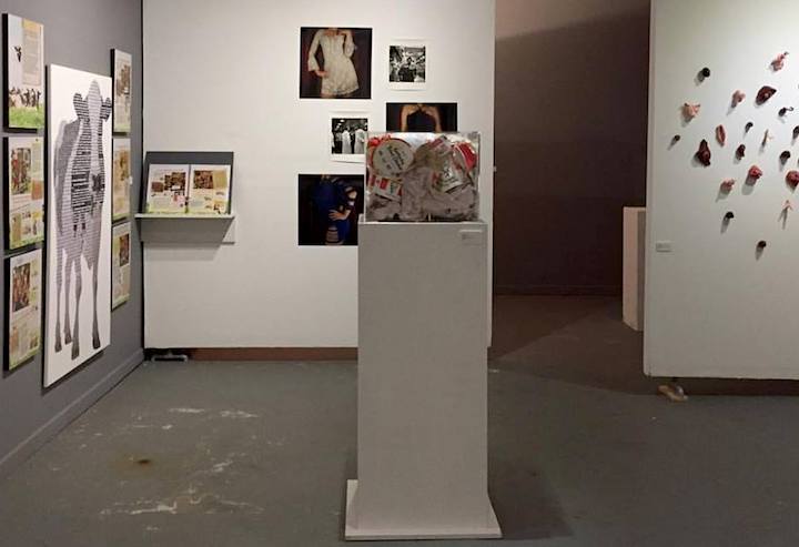 SPOM installation view -The Animal Museum, LA
